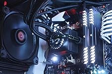 Review Image by Joe Petty