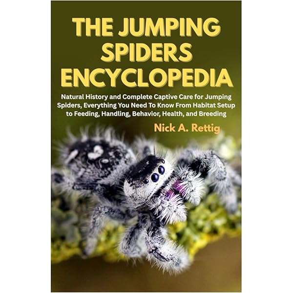 Amazon.com: Jumping Spider Care Made Easy: Survival Tips, Habitat