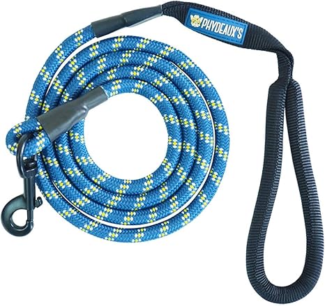 kong squeaky dog balls