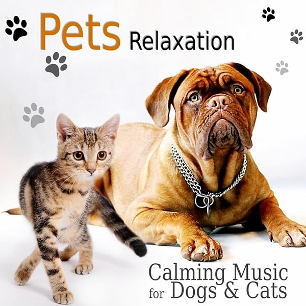 dog music to calm them down