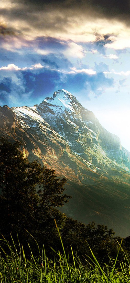 PeelitStickit, Beautiful Nature Wall Murals, ID-1149, vinyl