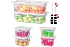 SVKLHY 1/3-1/6-1/9 Size&6 Inch Translucent NSF Food Pan: 9 PCS[Total Seal] [Hot&Cold Resistant] Food Storage Containers with Lids, Topping Salad Bar Container (BPA-FREE)