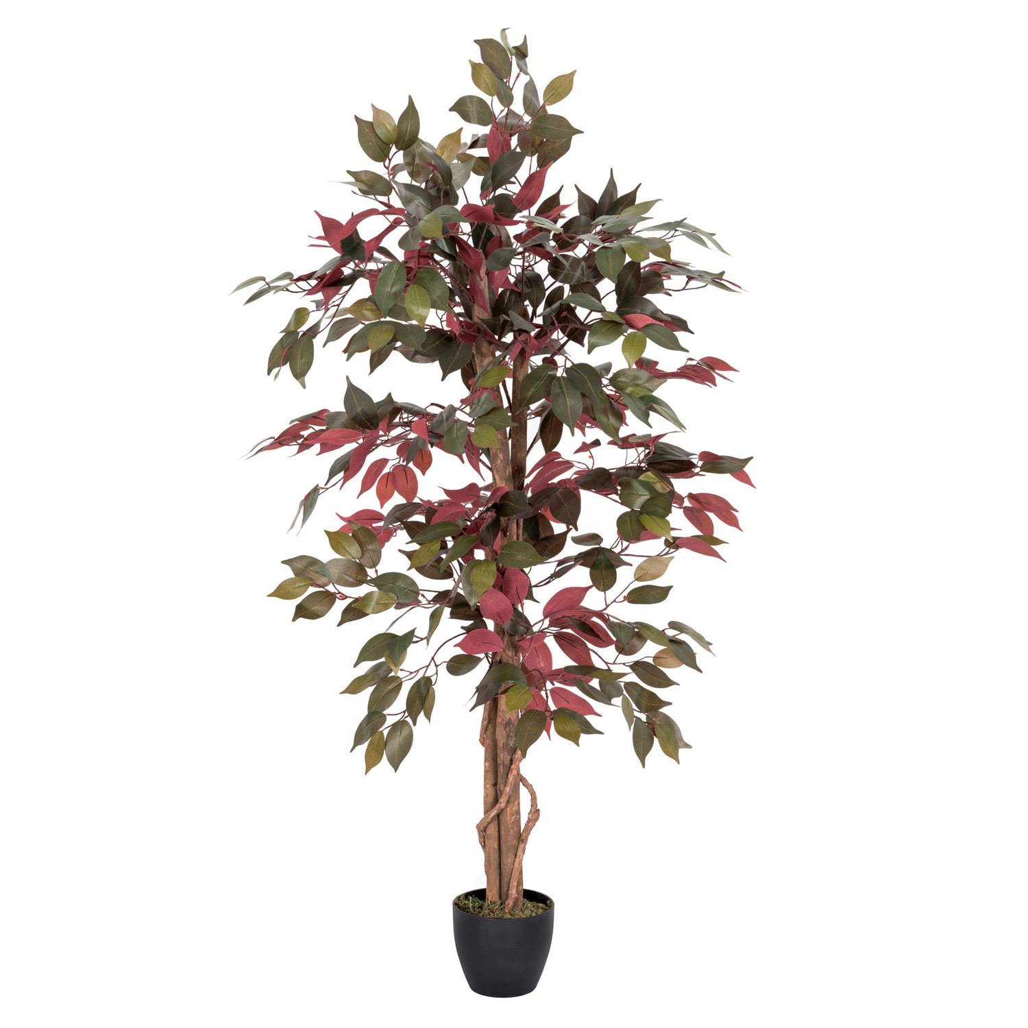 HOMESCAPES Artificial Tree Capensia in Pot approx. 135 cm high Lifelike