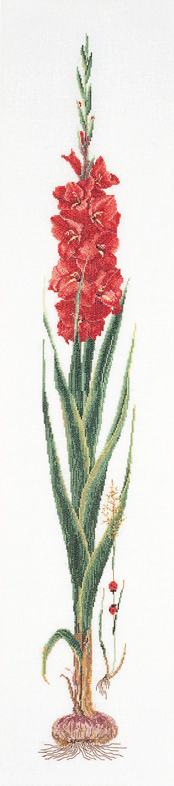 Thea Gouverneur Red Gladioli On Aida Counted Cross Stitch Kit-8-inch x 34.5-inch 18 Count