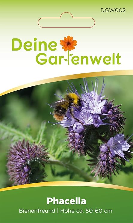 Phacelia Bienenfreund - Blumensamen für Bienen - Gründüngung - Samen für 3m² - Bienenweide