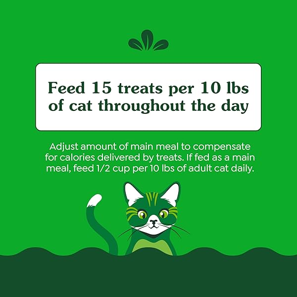 GREENIES CAT TREATS, FELINE SMARTBITES, SKIN & FUR HEALTH, CRUNCHY AND SOFT CAT TREATS, CHICKEN FLAVOR, 16 OZ. TUB