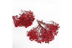 Birtlynn 6 Pcs Preserved Baby's Breath, Mini Size Bouquets 100% Natrual Gypsophila Long Lasting Flowers for Vase Home Decoration Photo Props Parties Weddings Card Making Crafts Floral, DIY Décor-Red