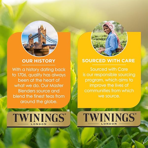 TWININGS HONEYBUSH MANDARIN & ORANGE HERBAL TEA – NATURALLY CAFFEINE-FREE TEA BAGS INDIVIDUALLY WRAPPED, 20 COUNT