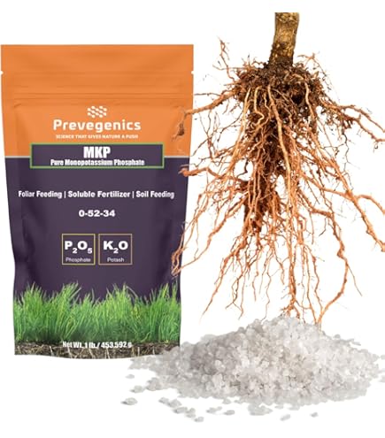 Amazon.com : Monster Bloom 130g : Patio, Lawn & Garden