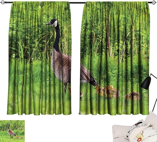 Amazon Com Hariiuet Red Curtains Geese Canadian Chicks On The