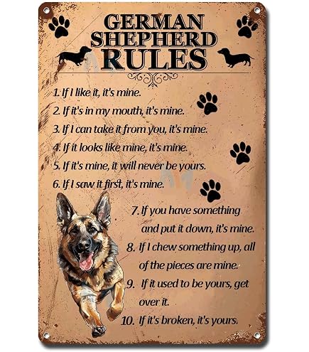Beware Of Dog Sign Warning Signs For Fence German Shepherd Sign This Property Is Protected By The Good Lord Funny Metal Tin Yard Signs Highly Trained Large Dogs Sign Outdoor House Signs 8 X 12 In