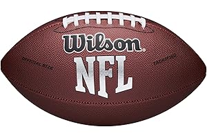 Wilson NFL Recreational Footballs