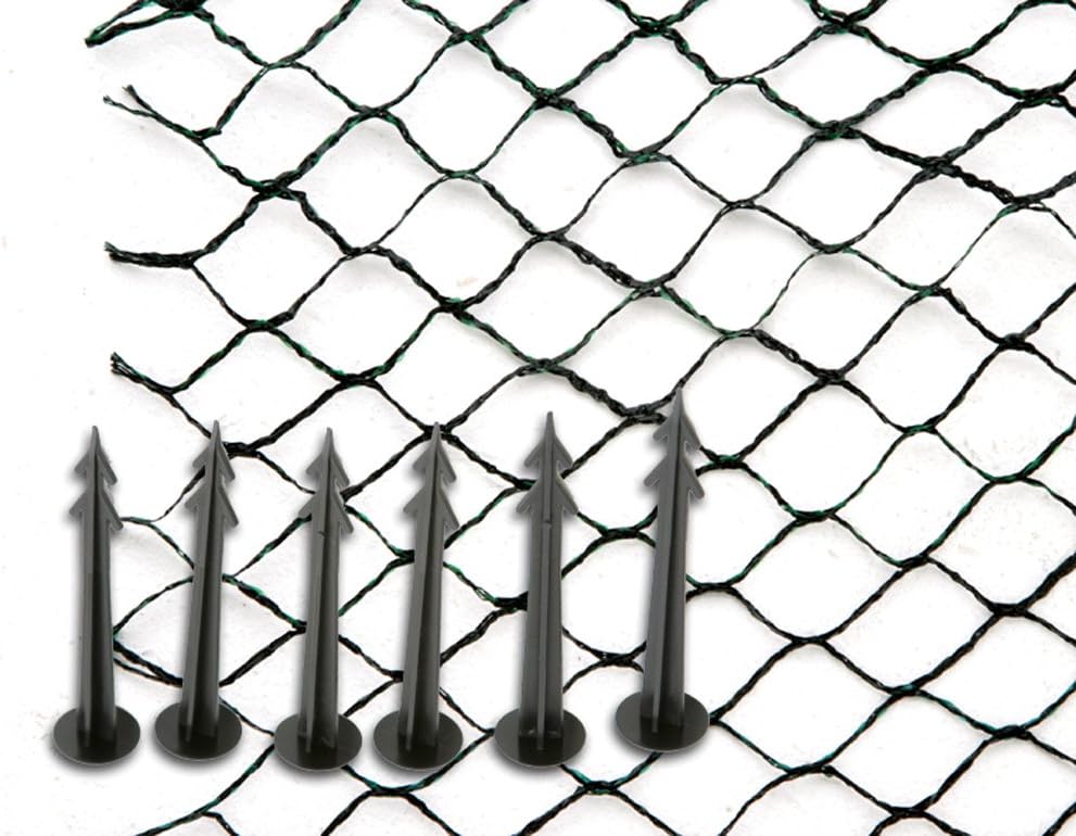 Siena Garden Teichabdecknetz, Abdecknetz, 6x10m, 250535