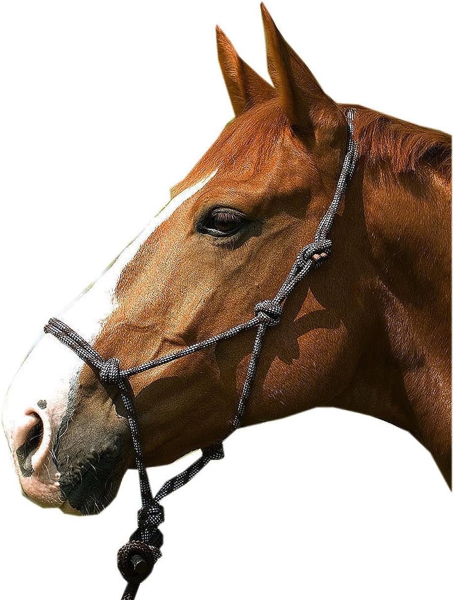Knotted Headcollar with Knitted Set, Ground Work, Training, Eduction or as Bitless Bridle