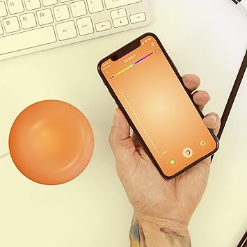 google home voice control lights