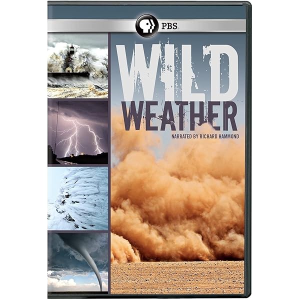 【中古】Storm Stories [DVD] [Import] Amazon.com: Storm Stories [DVD] : Movies & TV