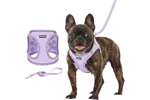 Rttochfy Dog Harness and Leash Set - with No Pull & No Choke Padded Vest - Adjustable & Reflective Step-in Puppy Harness for Extra-Small/Small/Medium Pet’s Outdoor Walking & Running - Purple S
