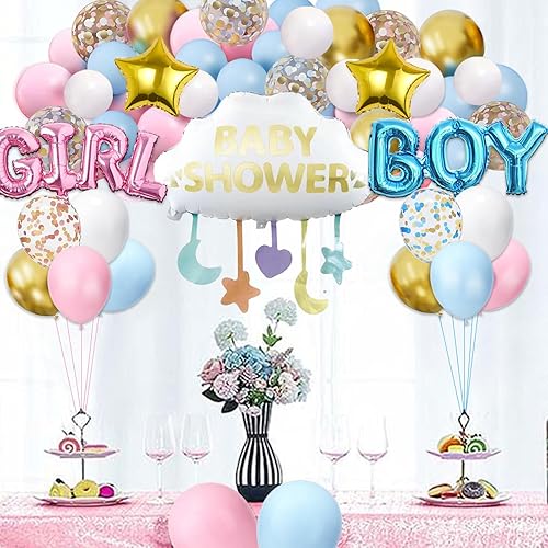 Boy or Girl Gender Reveal Party Decorations, Pastel Pink and Blue Confetti Balloons Arch Kit Star Hanging Cloud Garland Gender Reveal Baby Shower Party Supplies