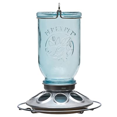 Perky-Pet Mason Jar Wild Bird Feeder