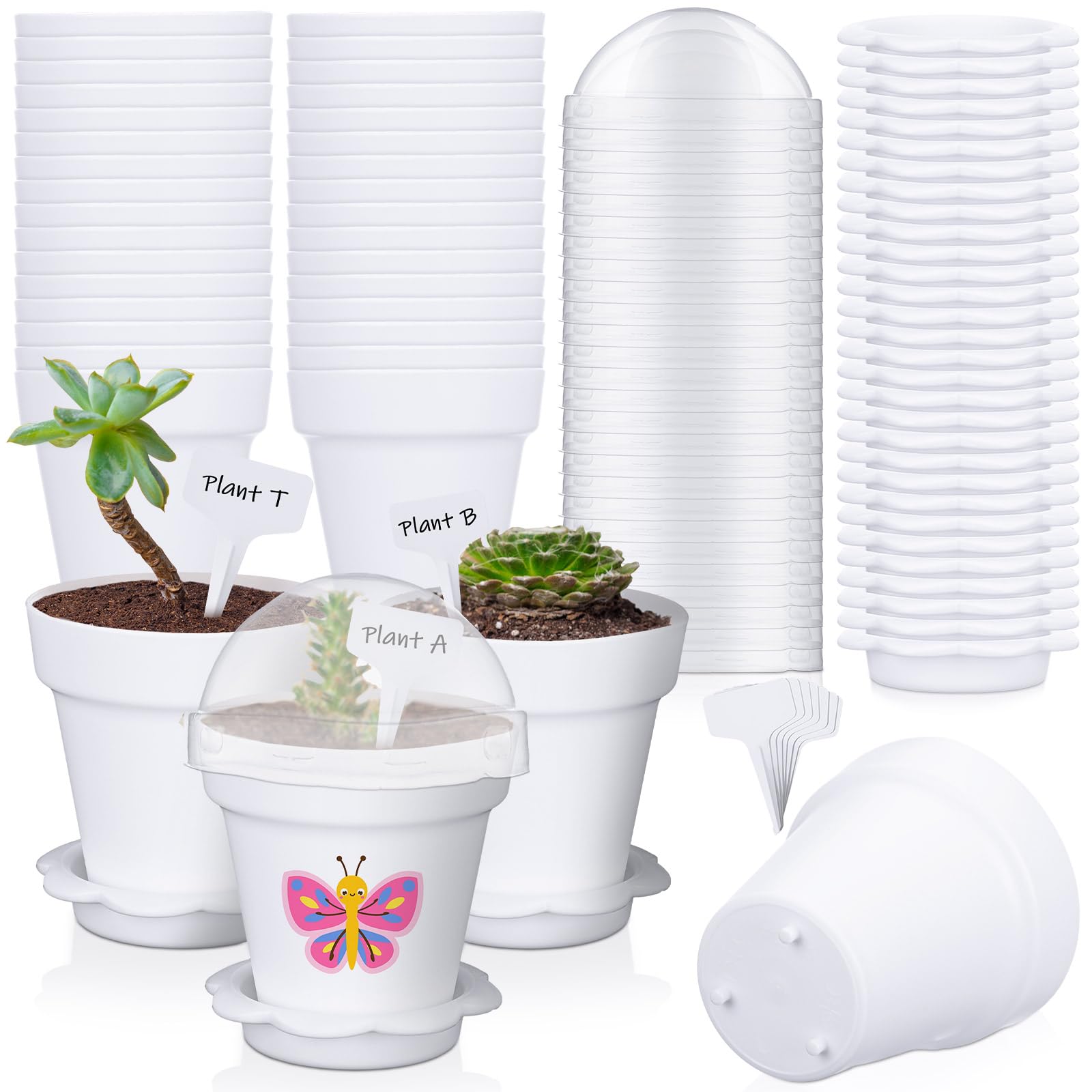 Photo 1 of **MISSING HALF**
Jingmore 30 Pcs Plant Nursery Pots with Humidity Dome 2.95'' Small Plant Pots Plastic Gardening Container Planter Starter Seed Starting Trays for Seedlings Succulents with 30 Pcs Labels(White)