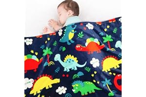 Lukeight Toddler Blanket for Boys and Girls, Plush and Thick Dinosaur Blanket Birthday Gifts for Toddler and Baby (Dinosaur, 30x40 Inches)