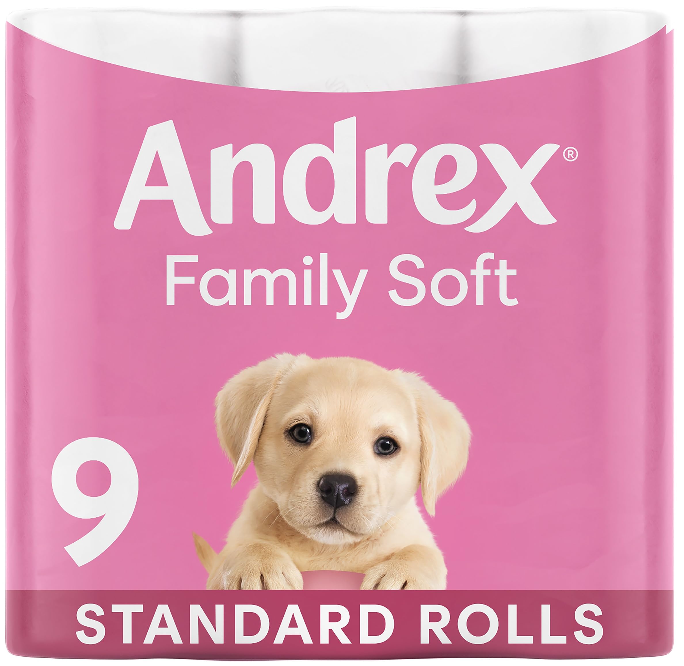 Andrex Gentle Clean Toilet Rolls - 9 Toilet Roll Pack - Bulk Buy Toilet Paper - Gentle and Soft on Your Family's Skin - Dermatologically Tested