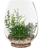 Lot De 6 Accessoires Buccaux En Silicone Moyen Adulte - Bloc De Morsure Autoclave Dentaire