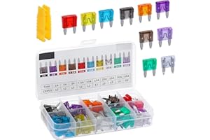 Zigeiya 120 PCS Car Fuses, 10 Sizes Mixed Assortment Kit with Extractor, Quick Blow Mini Fuse for Ignition Lights AC System, 