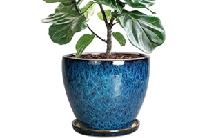EPFamily 10 Inch Ceramic Planter Pot Round Plant Pot for Indoor Plants Outdoor Large Flower Pot with Drainage Hole and Saucer Blue