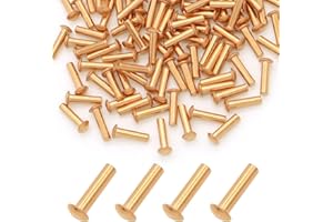 ASAMUYU 100 Pieces Round Head Solid Rivets Fasteners Copper Rivets (M2.5x10)