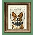 Space Corgi. Lieutenant Waffles of the Space Patrol Cardigan Welsh Corgi Dog In a Space Helmet Illustration Dictionary Page B