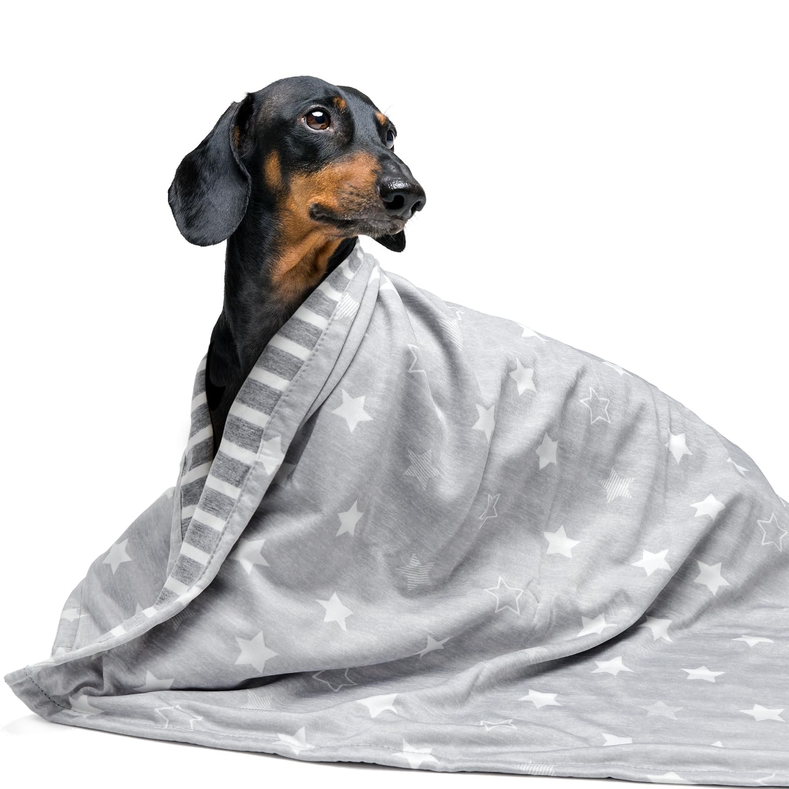 ARGOPET Dog Cooling Blanket 41 * 30inch Lightweight Self Cooling Blanket Bed Cover for Dog Cat Summer Blanket &Ice Silk Cooling Pet Blanket Throw Blanket for Kennel Sofa