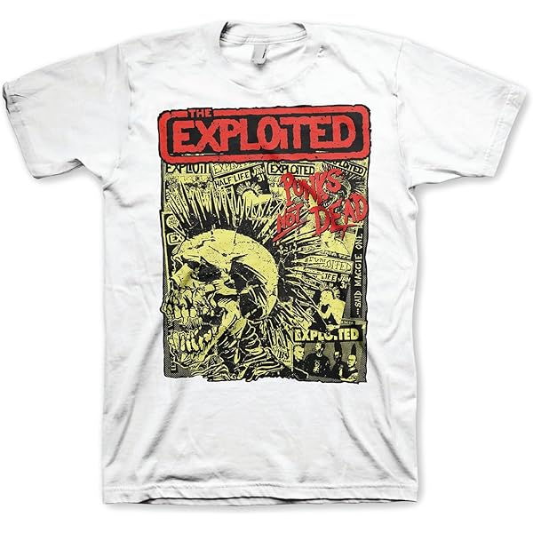 Amazon.com: The Exploited Badge Pack Punks Not Dead Button