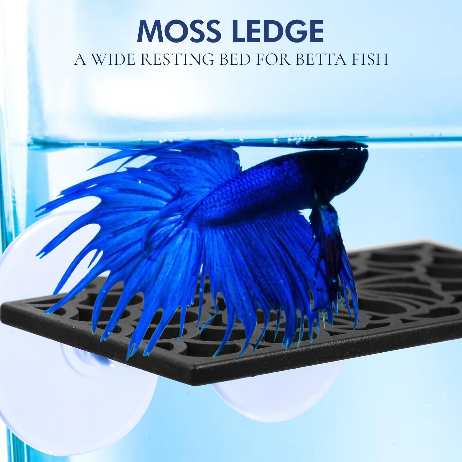 Betta Fish Leaf Pad Hammock Aquarium Decoration Cichlid Fish Tank