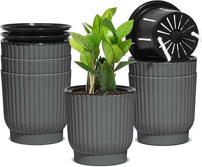 T4U Small Self Watering Plant Pots Indoor 6 Pack 11.5cm Grey Plastic