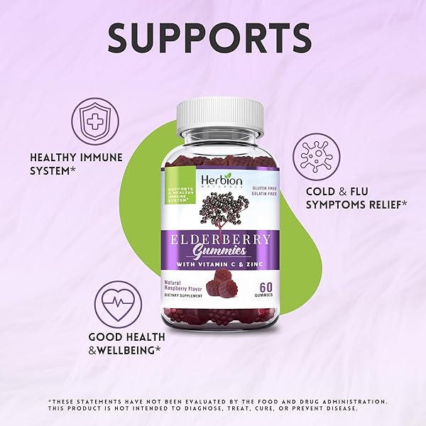 HERBION ELDERBERRY GUMMIES WITH VITAMIN C & ZINC – HEALTHY IMMUNE SYSTEM SUPPORT – GLUTEN-FREE & GELATIN-FREE – 60 GUMMIES FOR ADULTS & CHILDREN 4 YEARS & ABOVE – MADE IN USA, 60 COUNT (PACK OF 1)