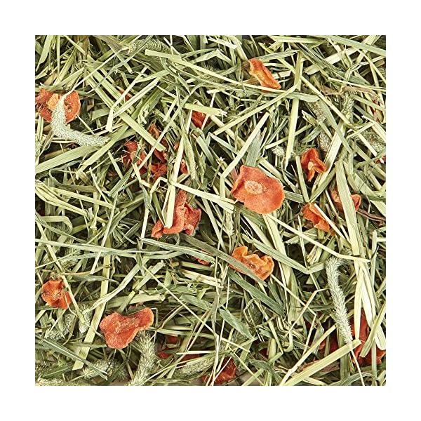 kaytee timothy hay plus variety pack