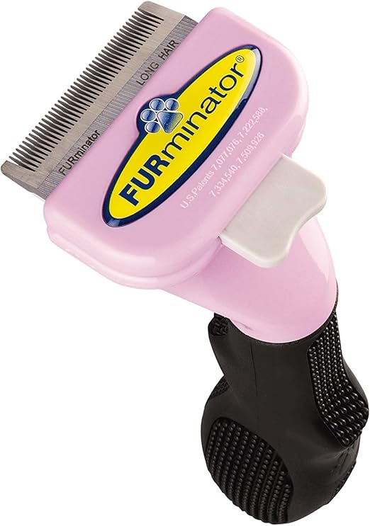 akc registrations by breed