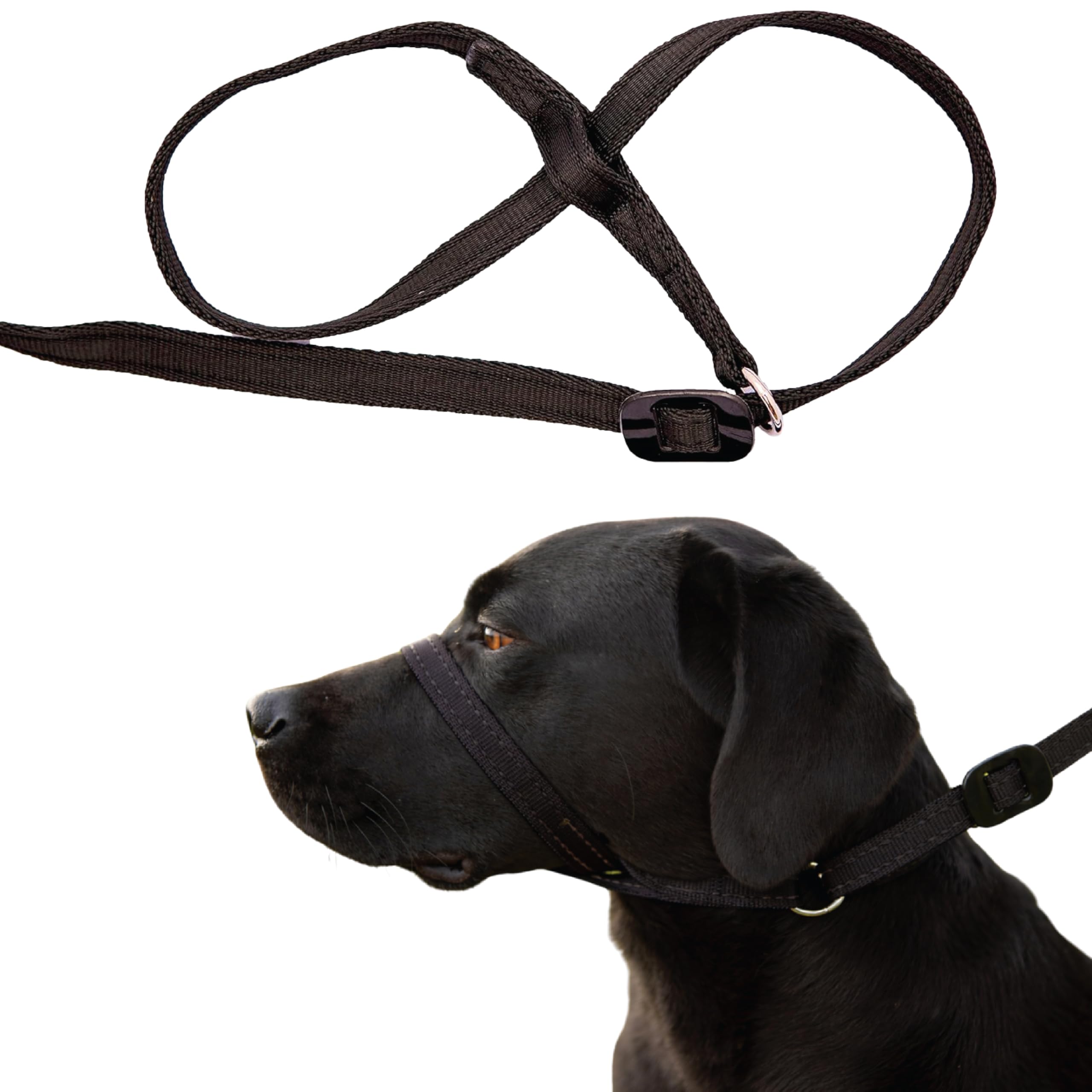 Gencon - Extra-Wide - Extra-Large - Anti Pull Dog Headcollar - Trainer Approved - Soft & Gentle Control - Practical Dog Training & Behaviour Aid - Right Hand - UK Made - Doesn't Include Lead - Black