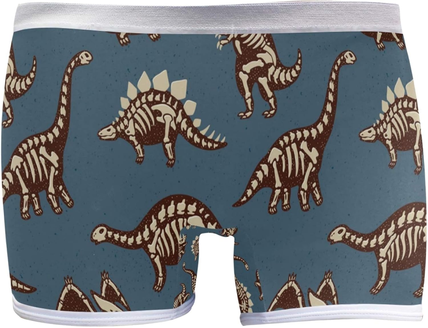 S Soft Stretchy Funny Sketchy Fossil Dinosaurs Ladies Hipster Panties