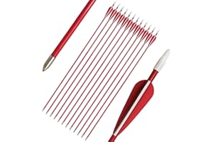 PANDARUS Youth Safetyglass Arrows 28" Fiberglass Archery 26" Target Practice Arrows(Pack of 12)