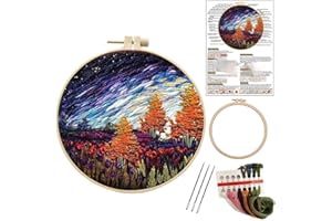 Liveish Friendship Gifts Embroidery Kits for Beginners,Landscape Embroidery kit,Embroidery kit for Beginners Adults DIY Cross Stitch Kits with Patterns and Instructions. (Colorful Sky)
