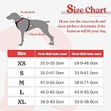 rabbitgoo Dog Harness Small No Pull Reflective Adjustable Vest with 2 Leash view 2