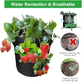 GOTGELIF 2 Pack 10 Gallon Strawberry Grow Bags with 8 Side Pockets view 4