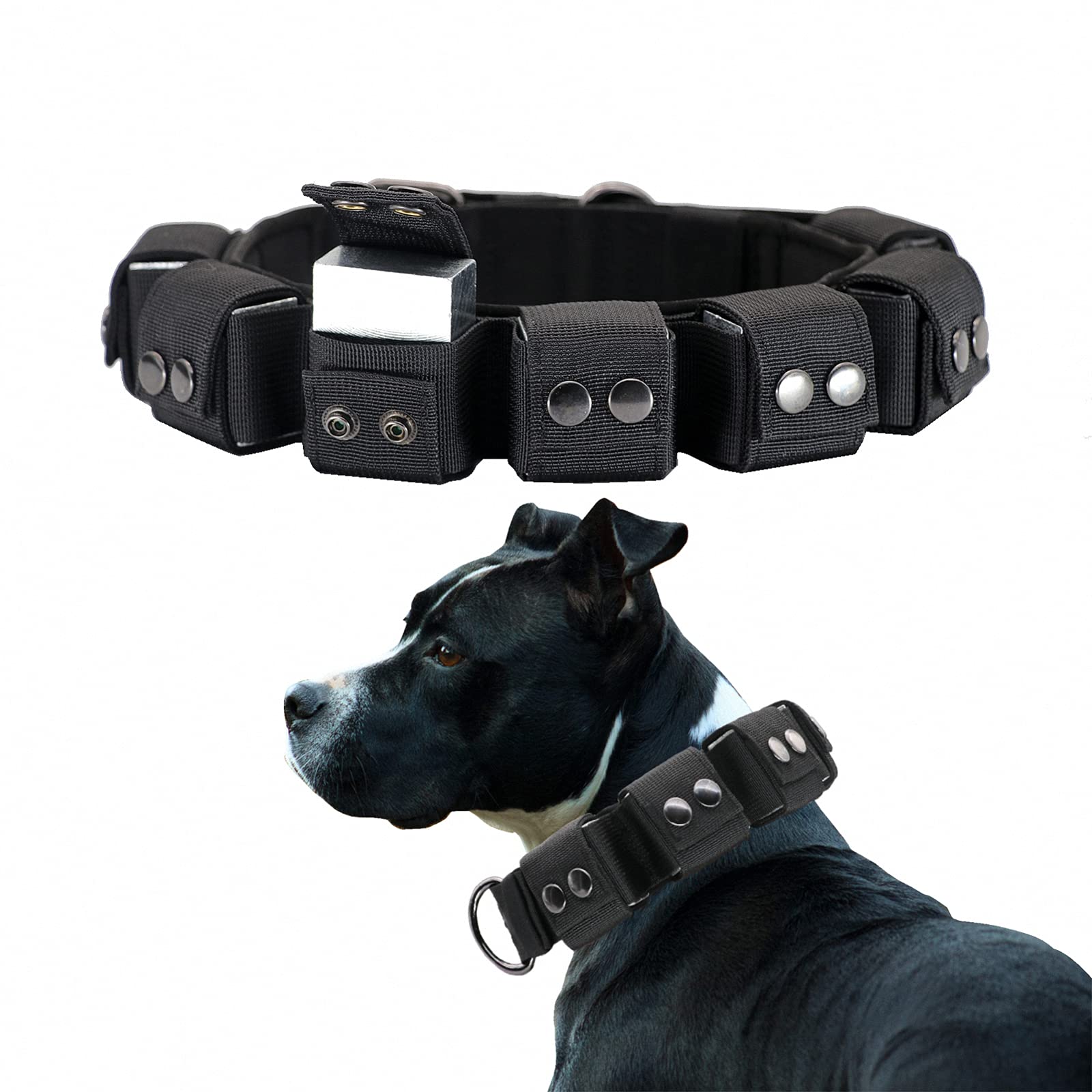 Walktime Tactical Weighted Dog Collar - Weights for Training & Exercise - Small, Medium, Large Dogs