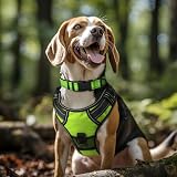 Joytale Reflective Dog Collar Large Green Neoprene Padded Nylon Adjustable view 2