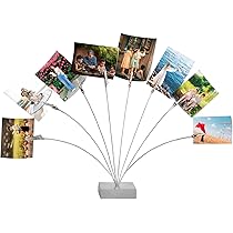 Amosfun 3pcs Message Clip Holder Photo Holders For Tables Cube Base Memo Clips Tree Style Picture Holder Memo Photo Holder Clip Family Tree Photo Holder Picture Tree Work Gift Desktop - View #14