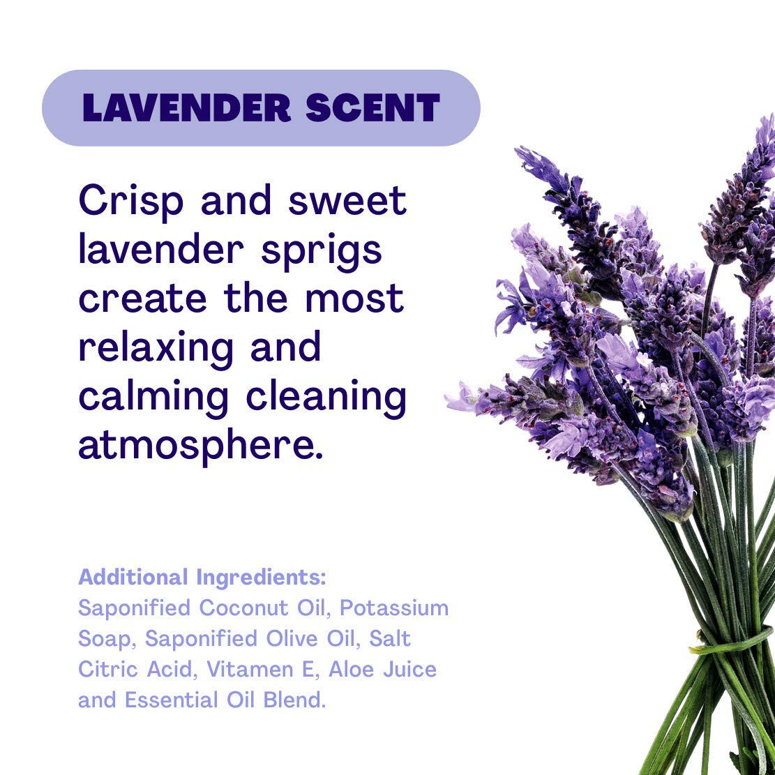 cleancult Liquid Hand Soap Refill | Biodegradable Eco Friendly Non Toxic Moisturizing Sensitive Skin Safe Natural Ingredient Reduced Waste Package, Lavender Scent, 16 oz Carton, 3 Pack: Beauty