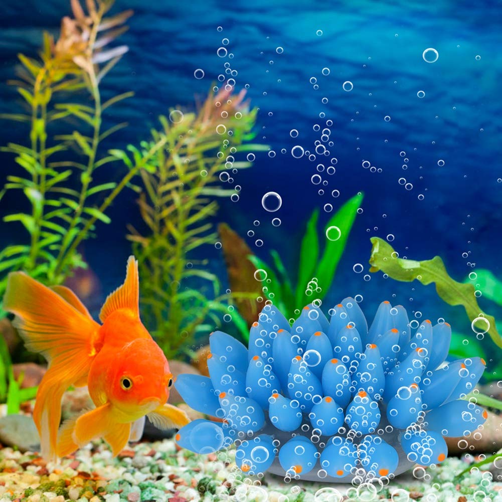 Download Korallenkuechendekor Free Korallenkuechendekor