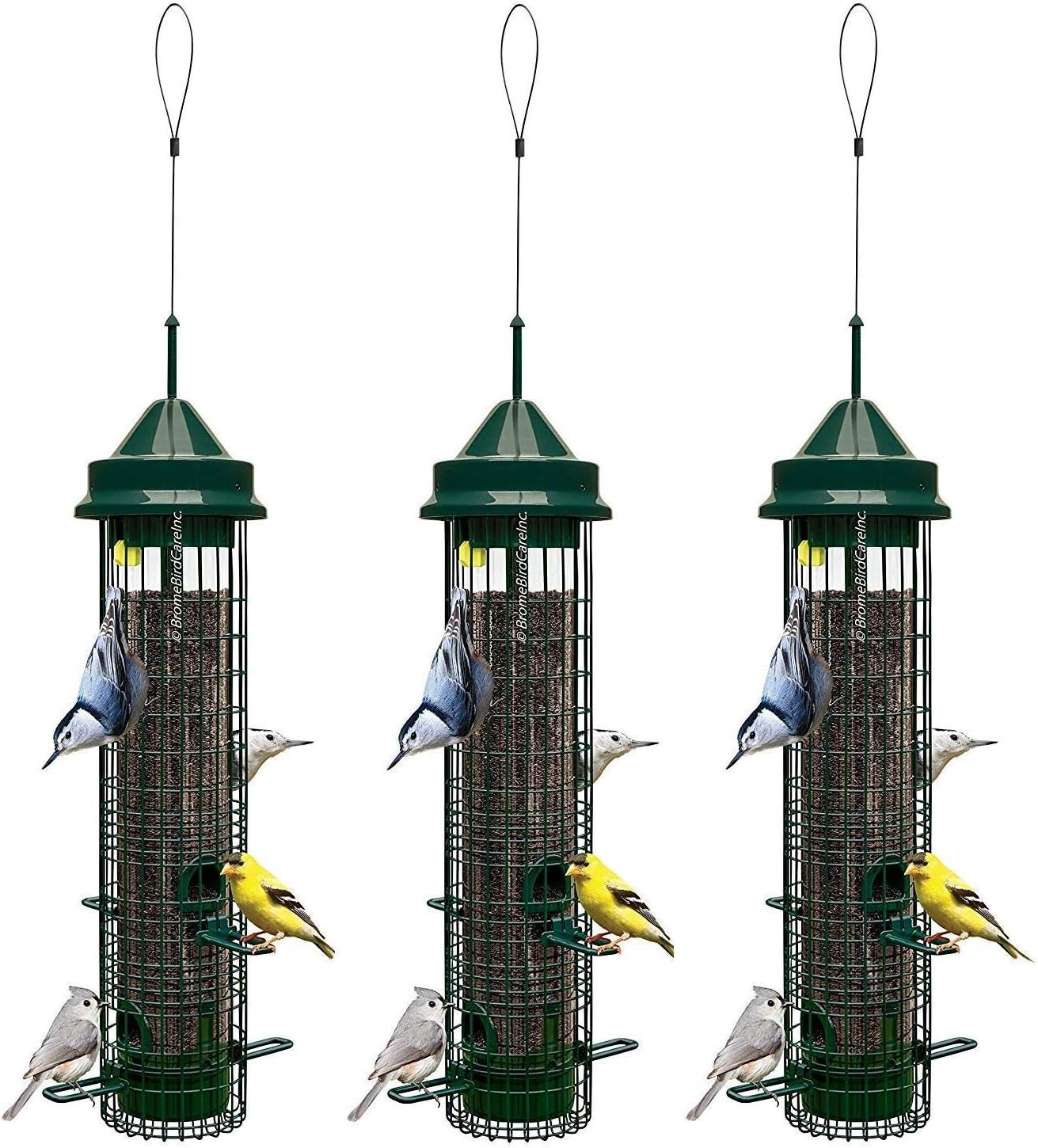 Amazon Com Squirrel Buster Classic Squirrel Proof Bird Feeder W